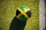 OFICJALNIE: Reprezentacja Jamajki na Gold Cup bez gwiazd z Anglii