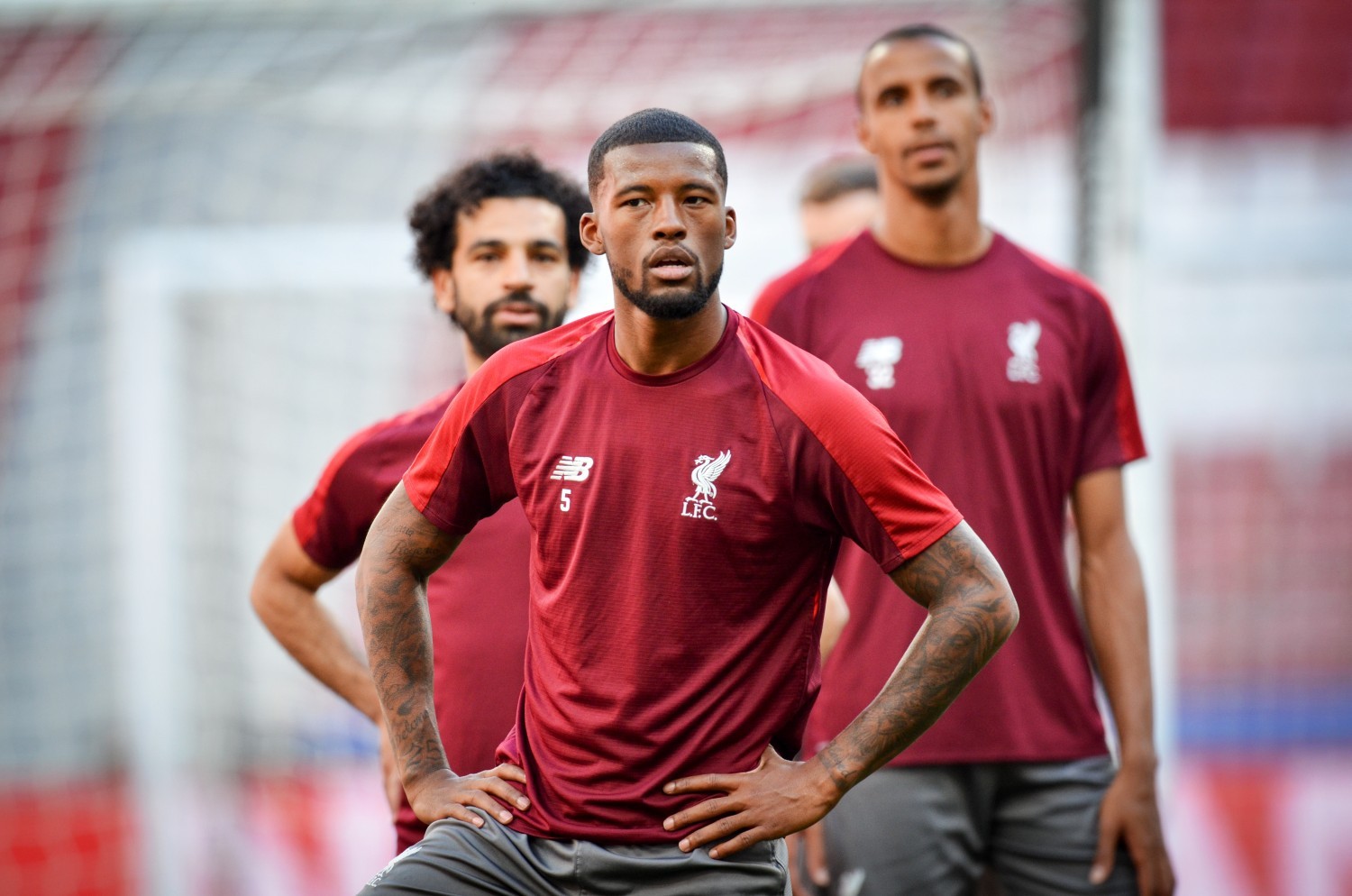 FC Barcelona: Transfer Georginio Wijnalduma odłożony w czasie? Wszystko przez... de Boera