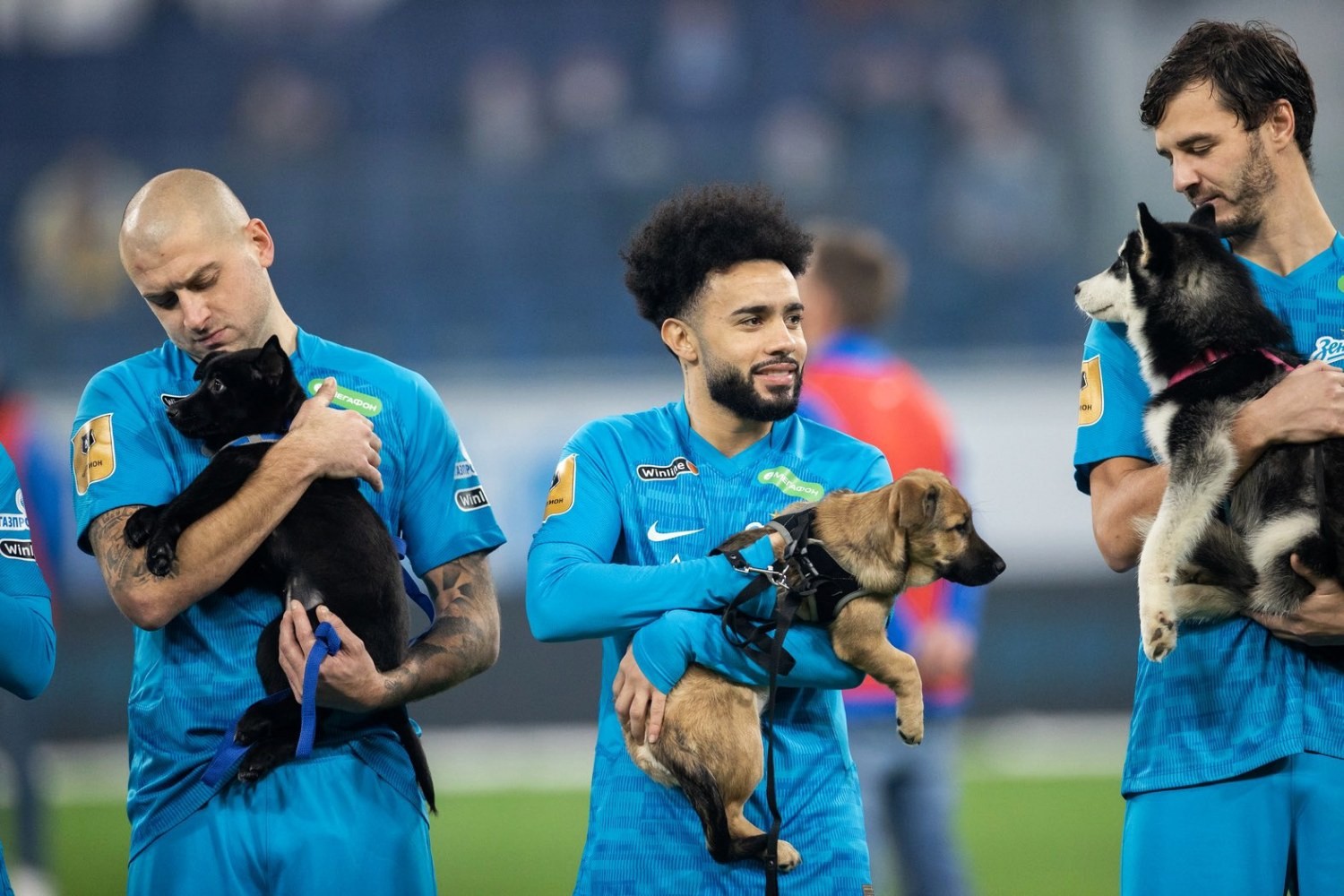 Zenit Sankt Petersburg promuje świetną akcję „Psom jest lepiej w domu!” [WIDEO]