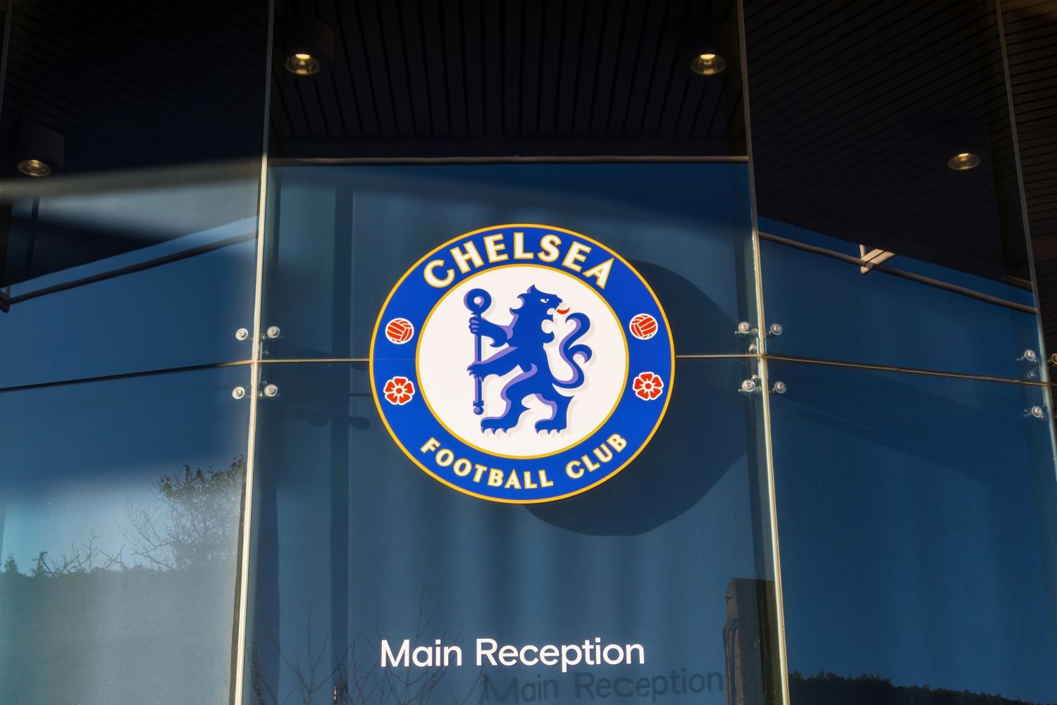 Chelsea wykazuje zainteresowanie wychowankiem Benfiki