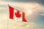 OFICJALNIE: Reprezentant Kanady wrócił do ojczyzny