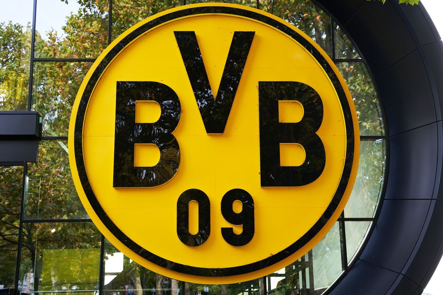Borussia Dortmund ściąga następcę Erlinga Haalanda. Największy transfer w historii klubu już przygotowany