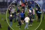 Inwazja kibiców Evertonu na boisko po zapewnieniu utrzymania w Premier League. Sprowokowany Patrick Vieira [WIDEO]