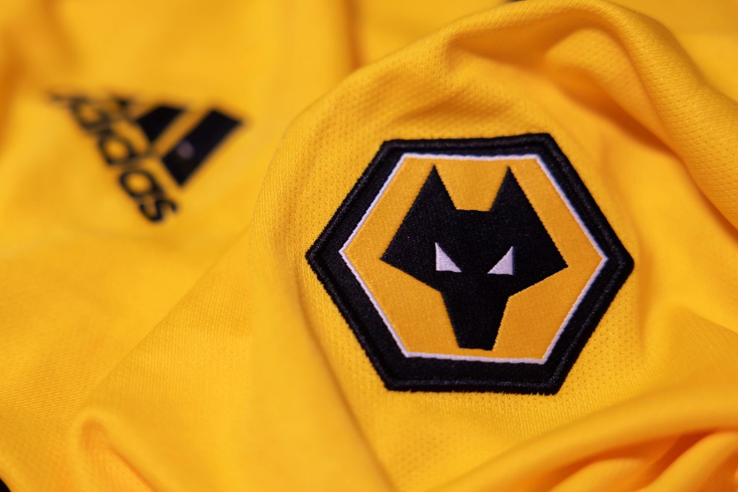 OFICJALNIE: Wolverhampton Wanderers z szóstym letnim transferem