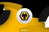 OFICJALNIE: Wolverhampton Wanderers z dużym transferem pomocnika