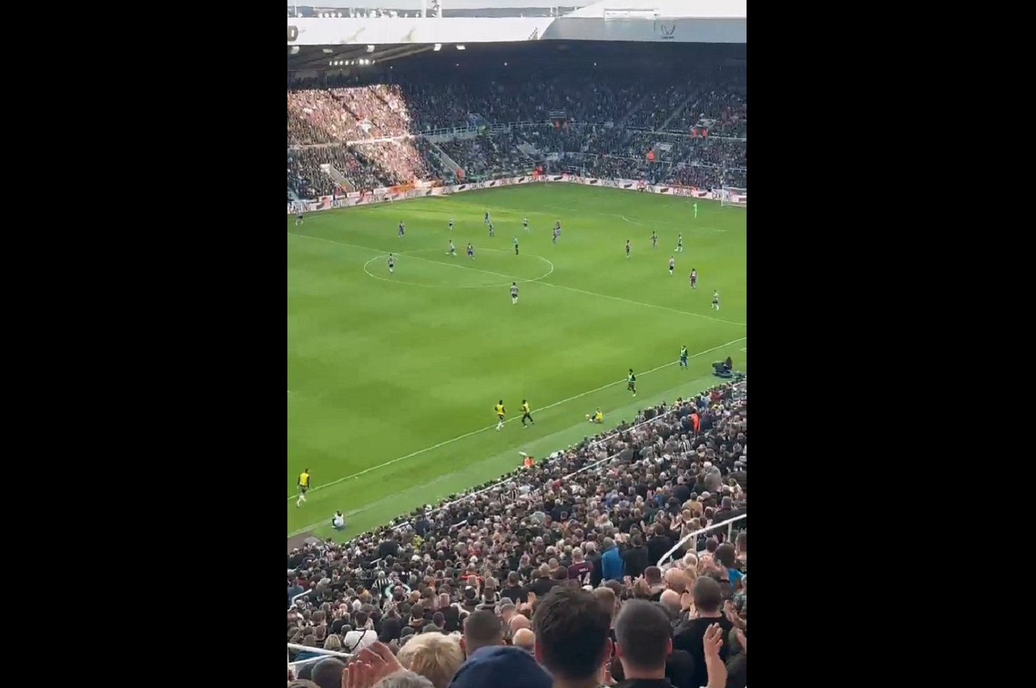 Kibice Newcastle United z jednoznaczną reakcją na kłopoty Sandro Tonalego [WIDEO]