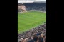 Kibice Newcastle United z jednoznaczną reakcją na kłopoty Sandro Tonalego [WIDEO]