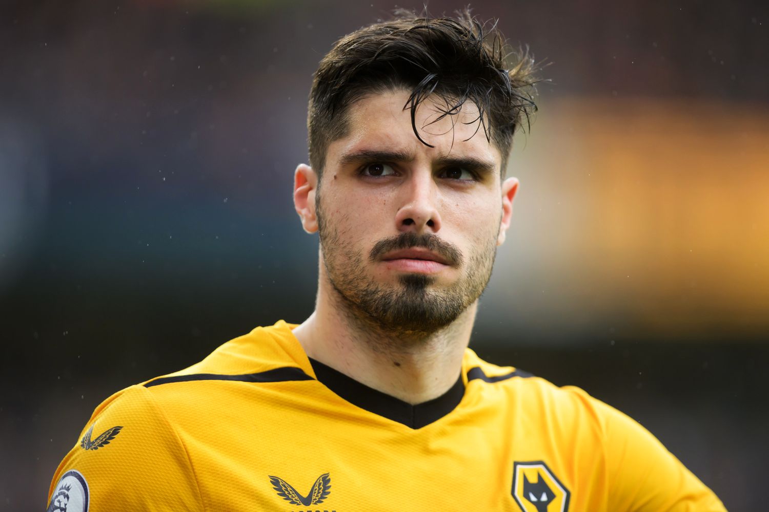 Wolverhampton Wanderers Przygotowuje Si Do Rekordowej Sprzeda y Co 