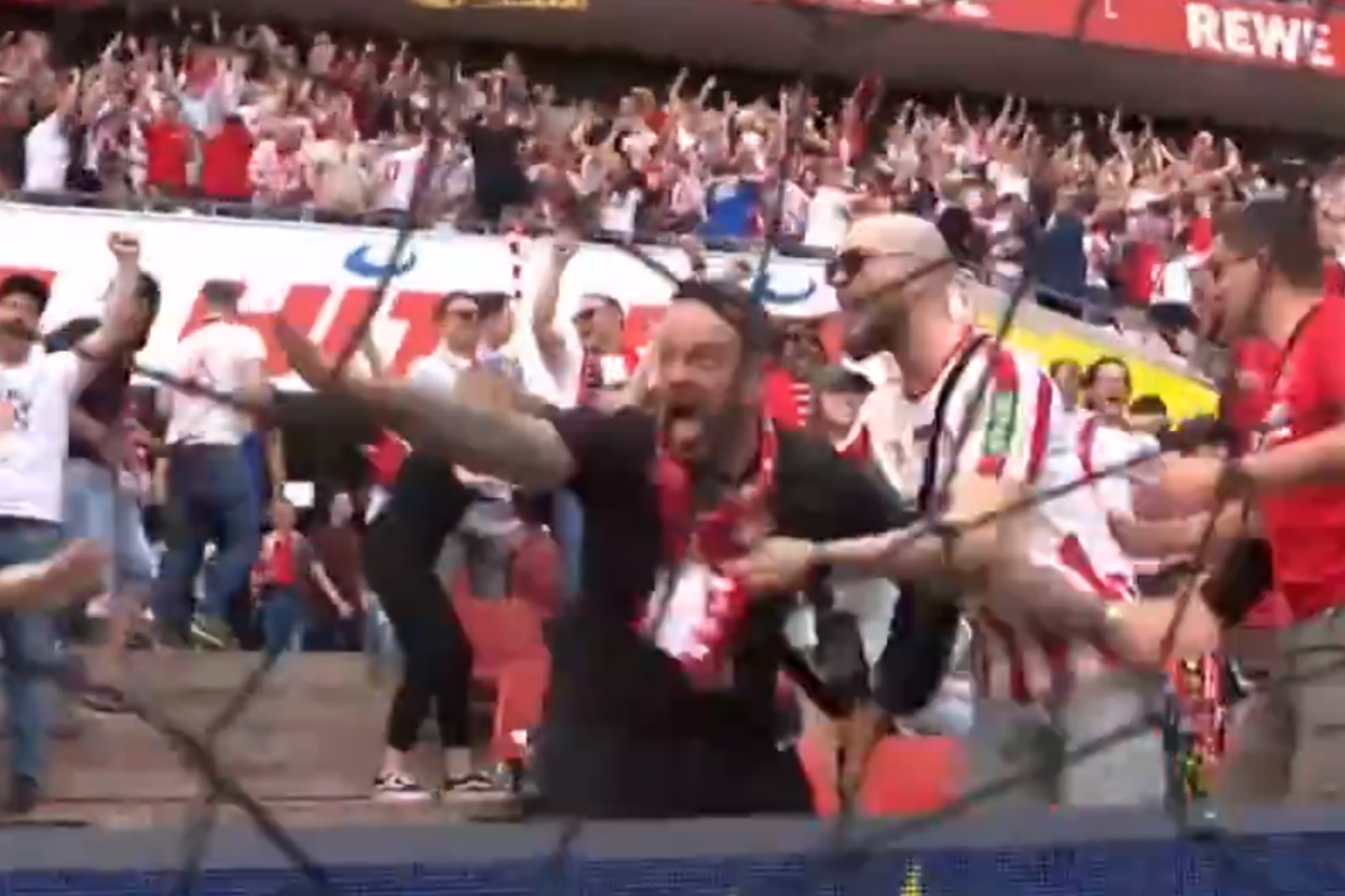 Emocje wzięły górę. Szalona i wzruszająca radość kibica 1. FC Köln [WIDEO]