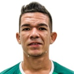 Rodrigo Andrade da Silva