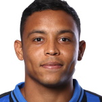 Luis Fernando Muriel Fruto