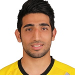 Reza Mirzaei